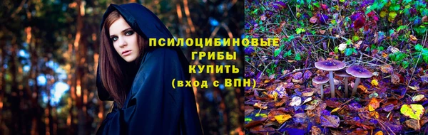наркотики Белокуриха