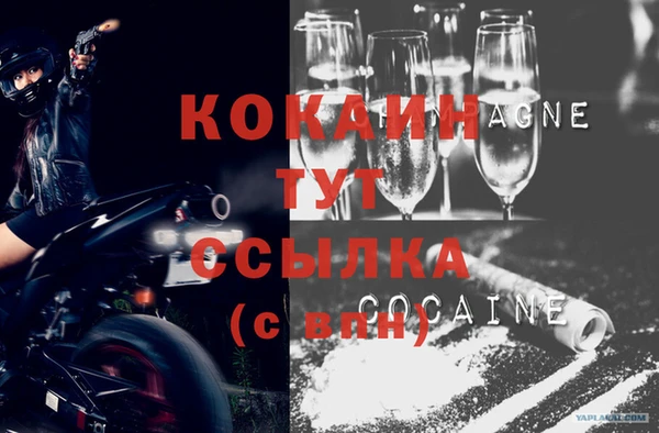 PSILOCYBIN Покачи