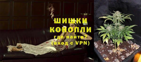 PSILOCYBIN Баксан
