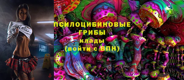 PSILOCYBIN Баксан