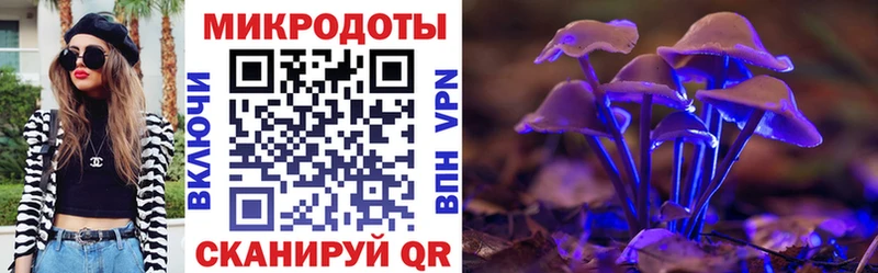 Галлюциногенные грибы Psilocybe  Нижнеудинск 